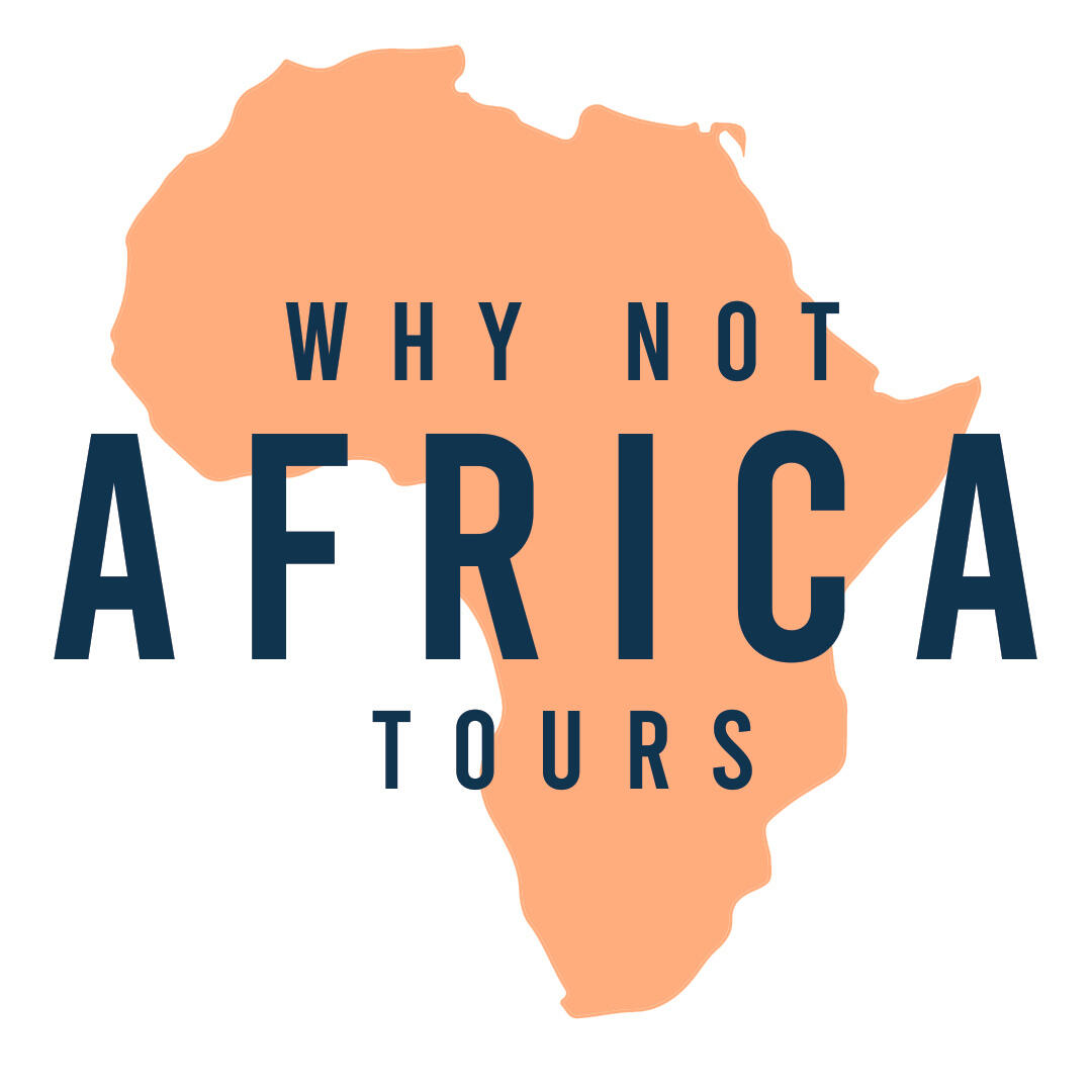 why not africa tours